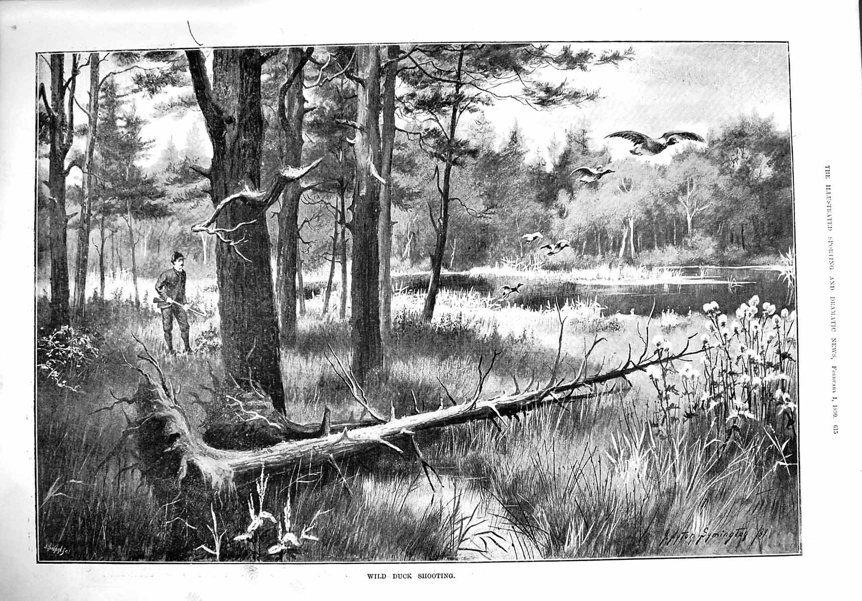 Original Old Antique Print 1890 Wild Duck Shooting Sport Man Birds River Scene