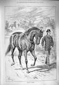 Original Old Antique Print 1890 Morning Exercise Horse Trainers Sport Victorian