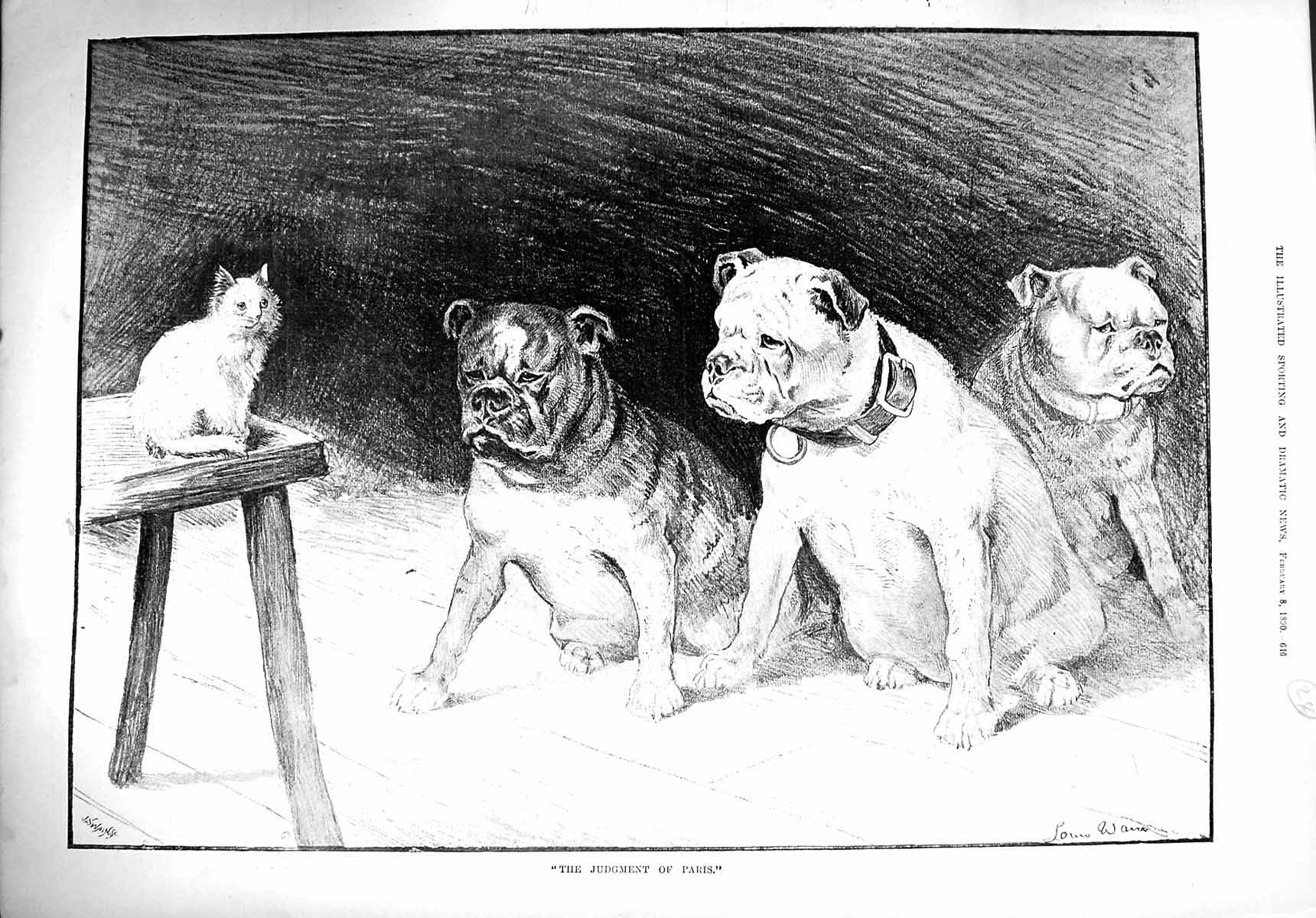 Old Antique Print 1890 Judgment Paris Three Dogs Kitten Cat Stool Animals 19th