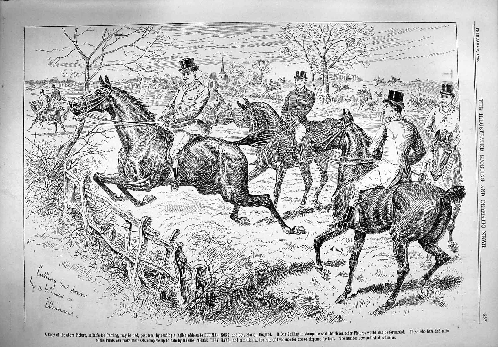 Original Old Antique Print 1890 Advertisement Ellimans Embrocation Horses 19th