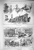 Original Old Antique Print 1890 Croydon Harriers Bison Shooting Mysore Hunting