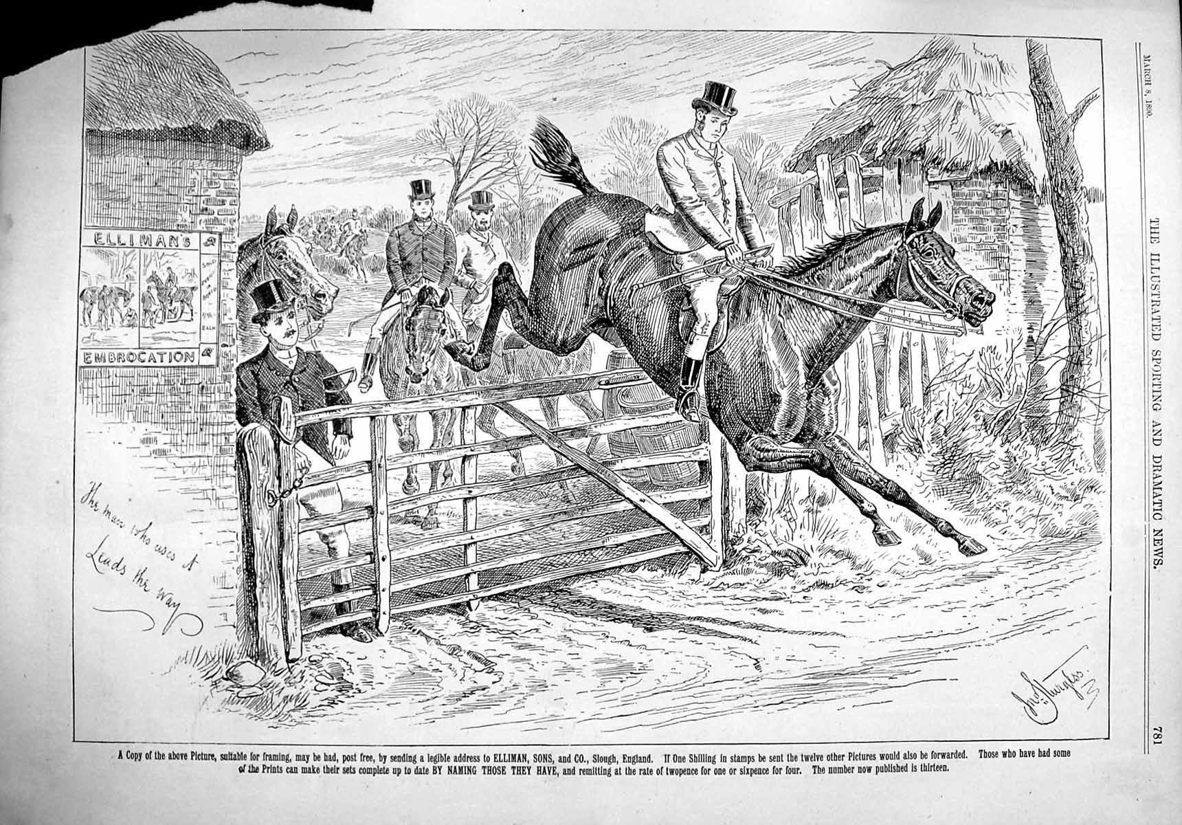 Old Antique Print 1890 Advertisement Ellimans Embrocation Horse Jumping 19th