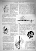 Original Old Antique Print 1890 Holiday Trip Belgium Antwerp Windmill People