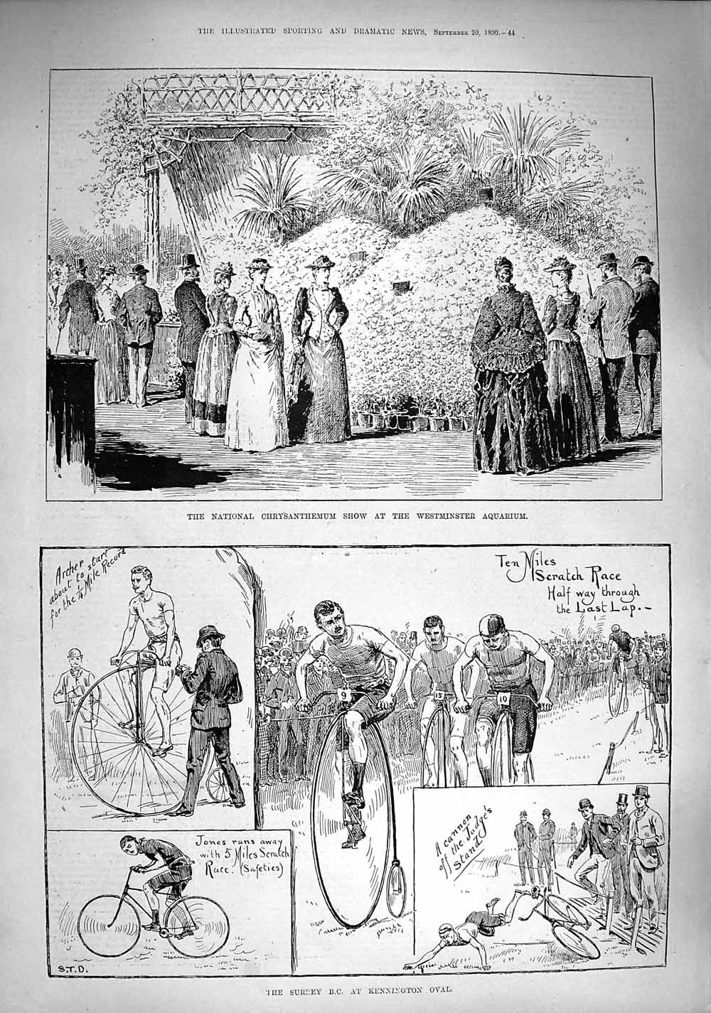 Original Old Antique Print 1890 Chrysanthemum Show Westminster Kennington Oval