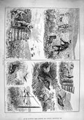 Original Old Antique Print 1890 Grouse Shooting Hunting Sport Heather Country