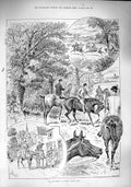 Original Old Antique Print 1890 Fox Cub Hunting Sport Horses Sport Huntsmen