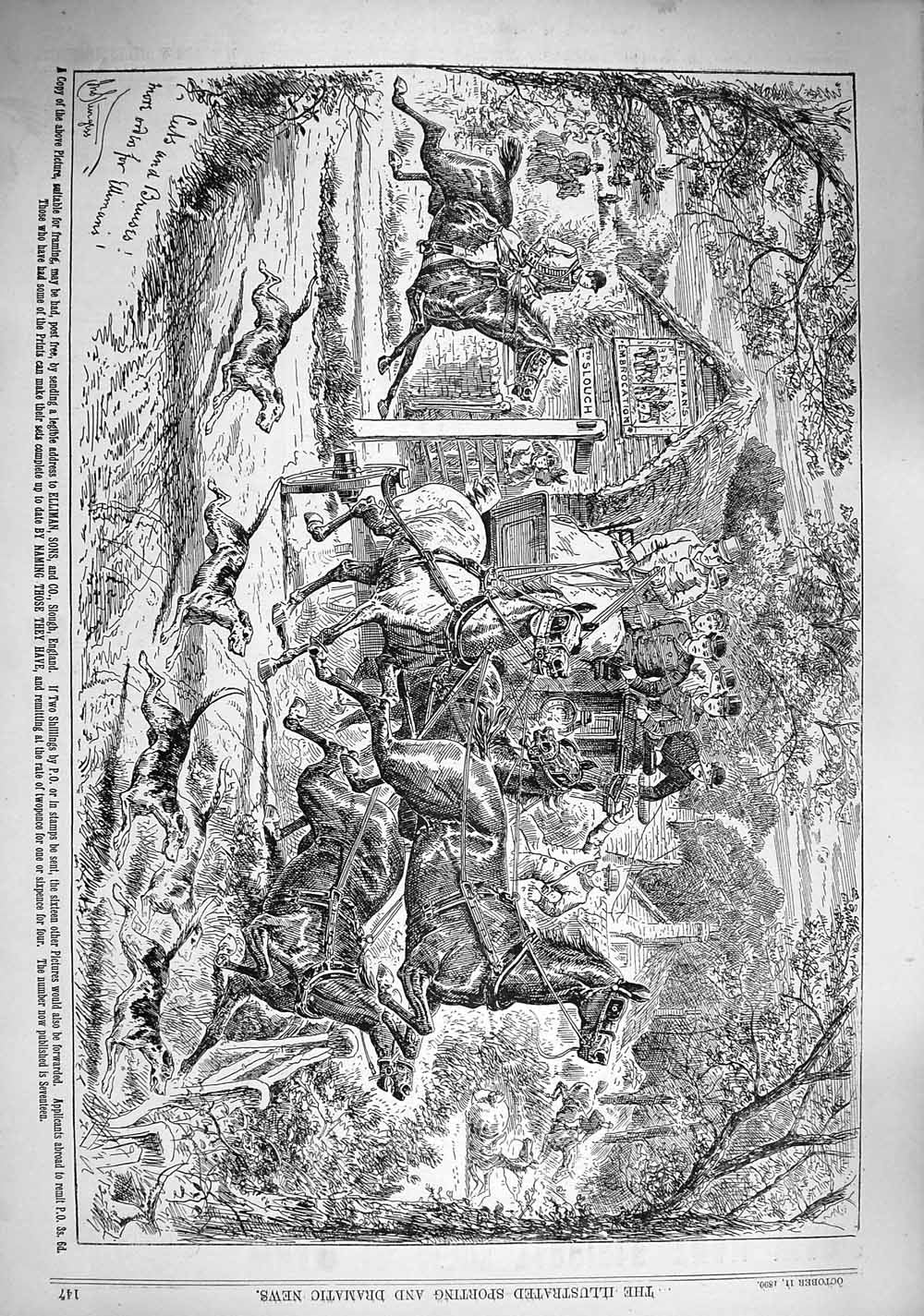 Original Old Antique Print 1890 Advertisement Ellimans Embrocation Horses Coach
