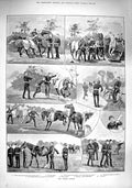 Original Old Antique Print 1890 Siers Horses Behaviour Biters Bitten Army 19th