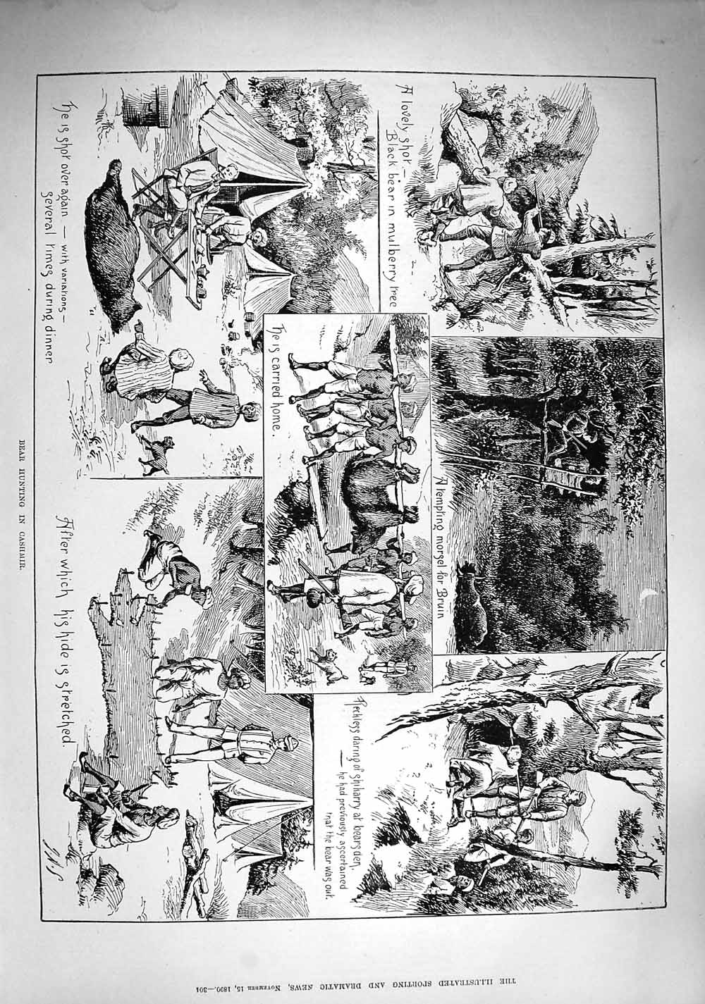 Original Old Antique Print 1890 Black Bear Hunting Cashmir Camp Mulberry Tree