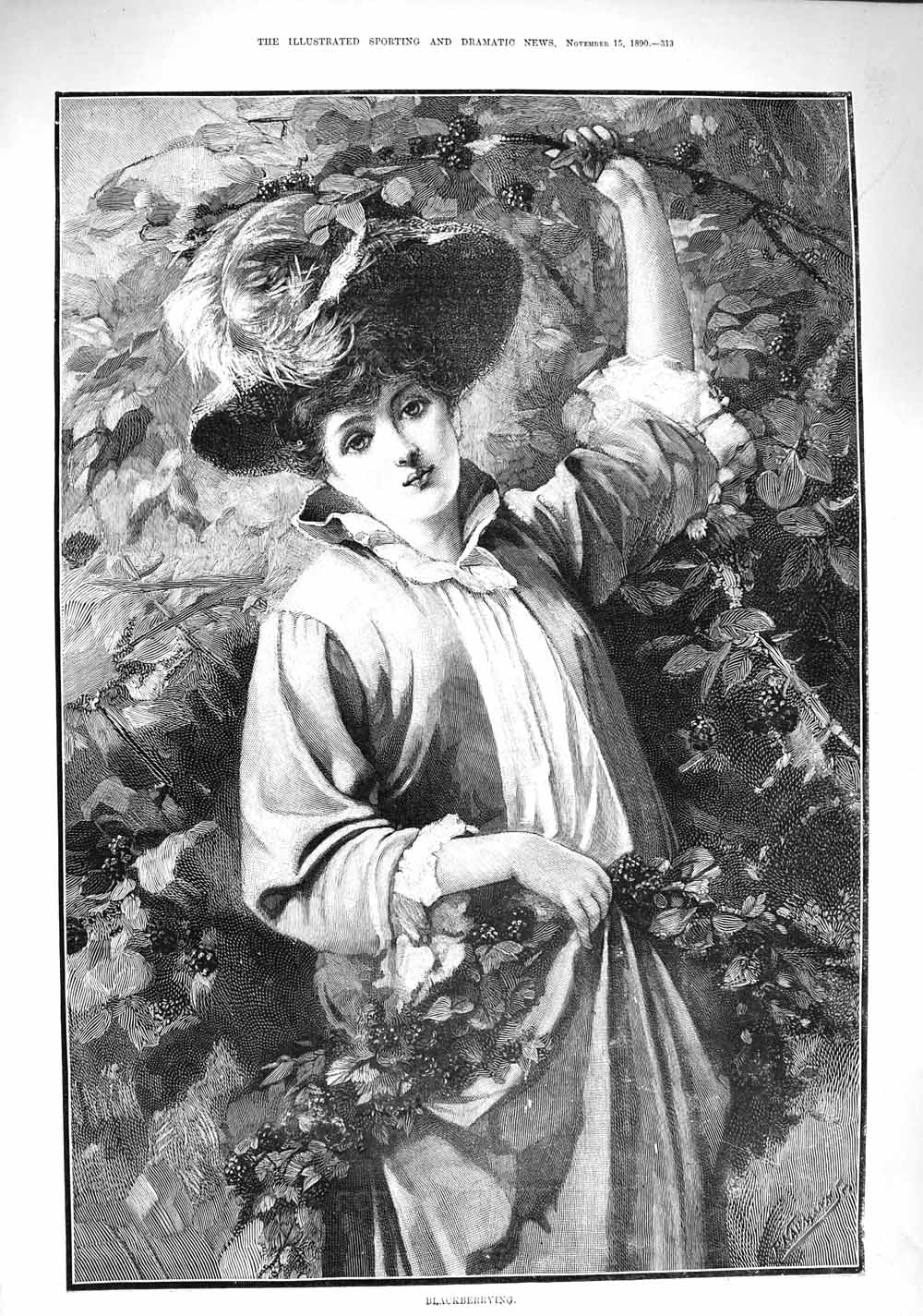 Original Old Antique Print 1890 Fine Art Woman Blackberrying Fruit Picking 19th
