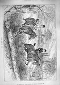 Old Antique Print 1890 Hunting Horses Jumping Huntsmen Sport Countryside 19th