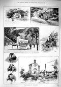 Original Old Antique Print 1890 Monastery Monserrat Ladies Headwear Horse Cart