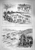 Old Antique Print 1890 Barrackpore Races Springbok Shooting Africa Sport 19th