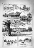 Old Antique Print 1890 Advertisement Beechams Pills Pleasantries Parcel 19th
