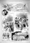 Original Old Antique Print 1890 Smithfield Club Show Princess Josephine Jersey