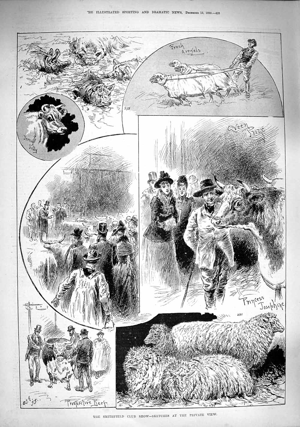 Original Old Antique Print 1890 Smithfield Club Show Princess Josephine Jersey