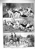 Original Old Antique Print 1890 Hunting Horses Hounds Dogs Huntsmen Sport 19th