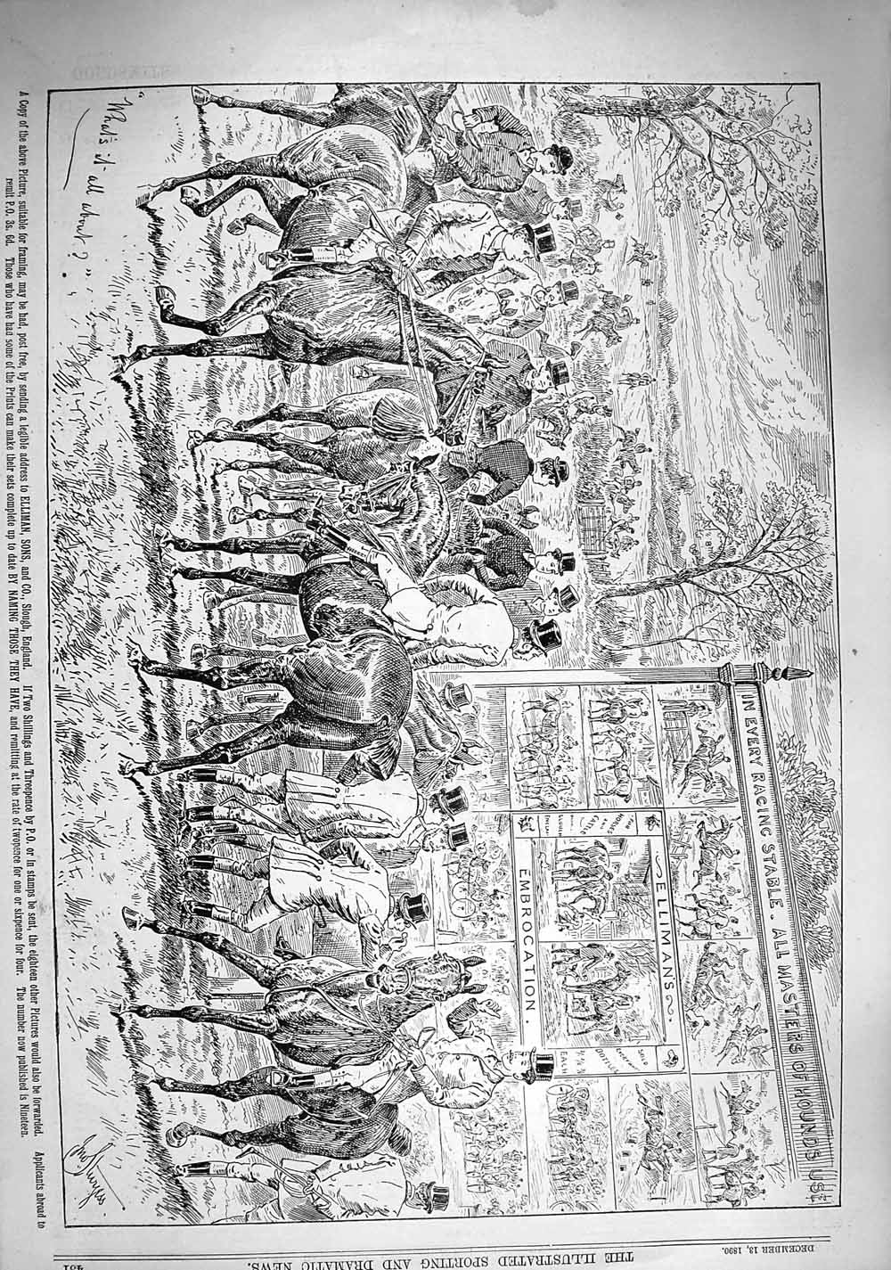 Original Old Antique Print 1890 Advertisement Ellimans Embrocation Horses Sport