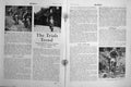 Old Vintage Print Motor Cycle Magazine 1949 B.S.A. Douglas Engine Brands 20th