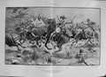 Original Old Antique Print 1900 Brave Colonial Siers Africa Cattle Hunting 0