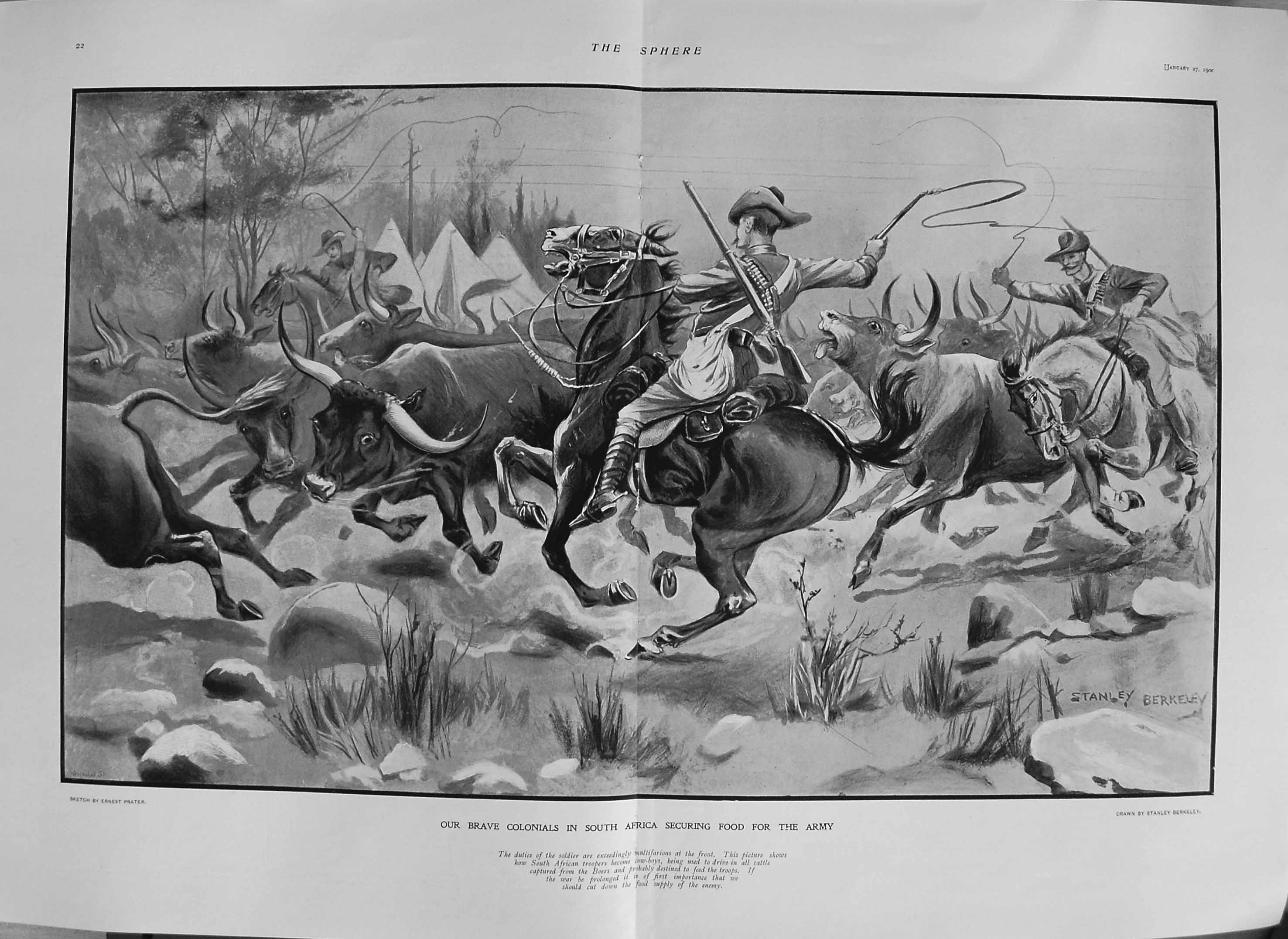 Original Old Antique Print 1900 Brave Colonial Siers Africa Cattle Hunting 0