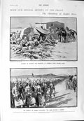 Old Antique Print 1900 Modder River Outpost Rosmead Wauchope Trimmel War 20th