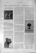 Old Antique Print 1900 Holgate Fairy Dog Terrier Black Blanche Viper Ship 20th