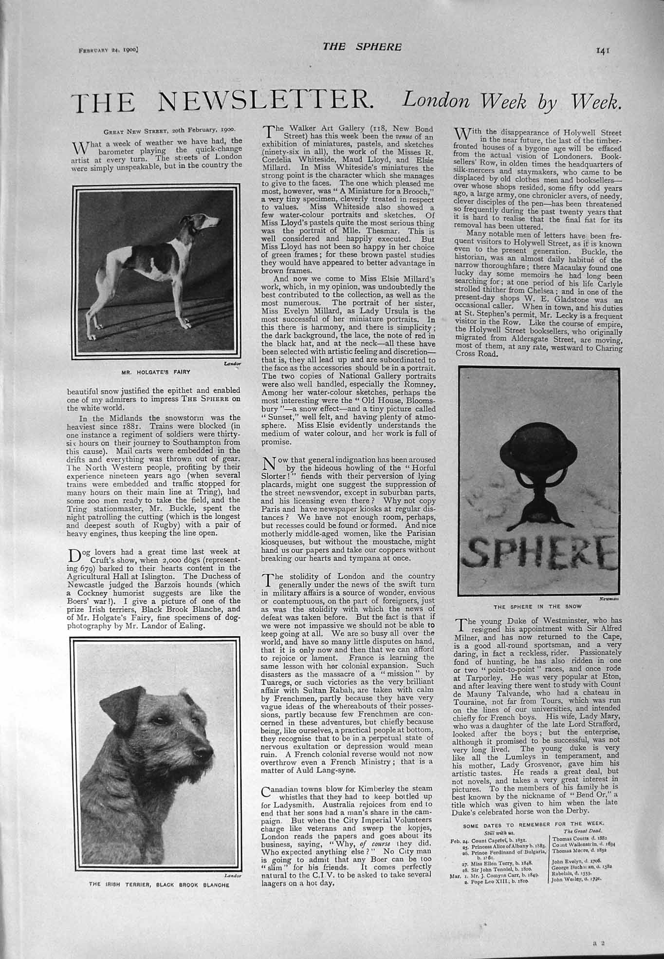 Old Antique Print 1900 Holgate Fairy Dog Terrier Black Blanche Viper Ship 20th
