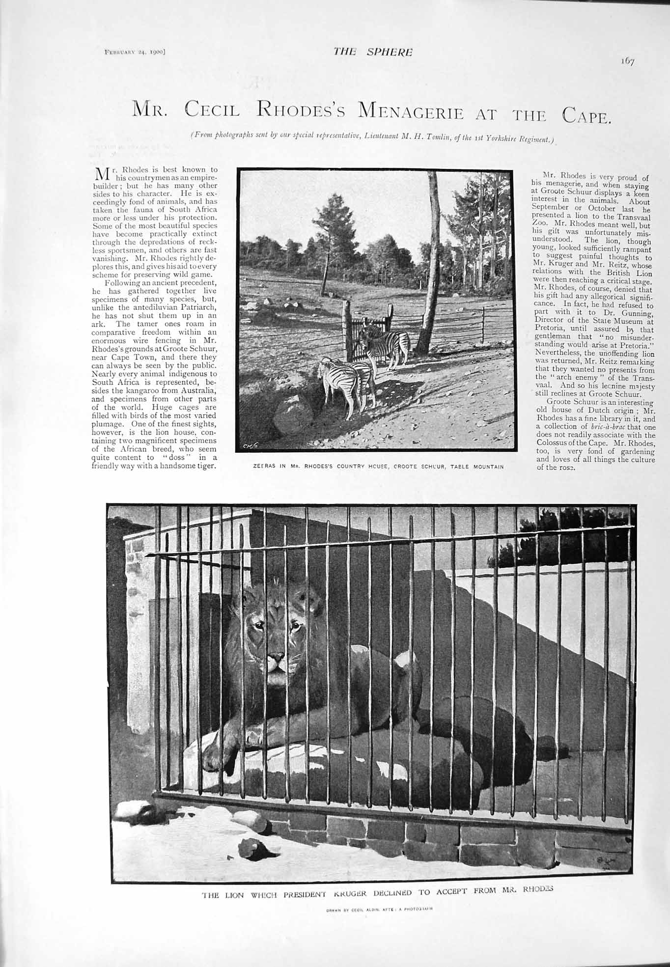 Old Antique Print 1900 Cecil Rhodes Zeebras Table Mountain Mosque Yildis 20th