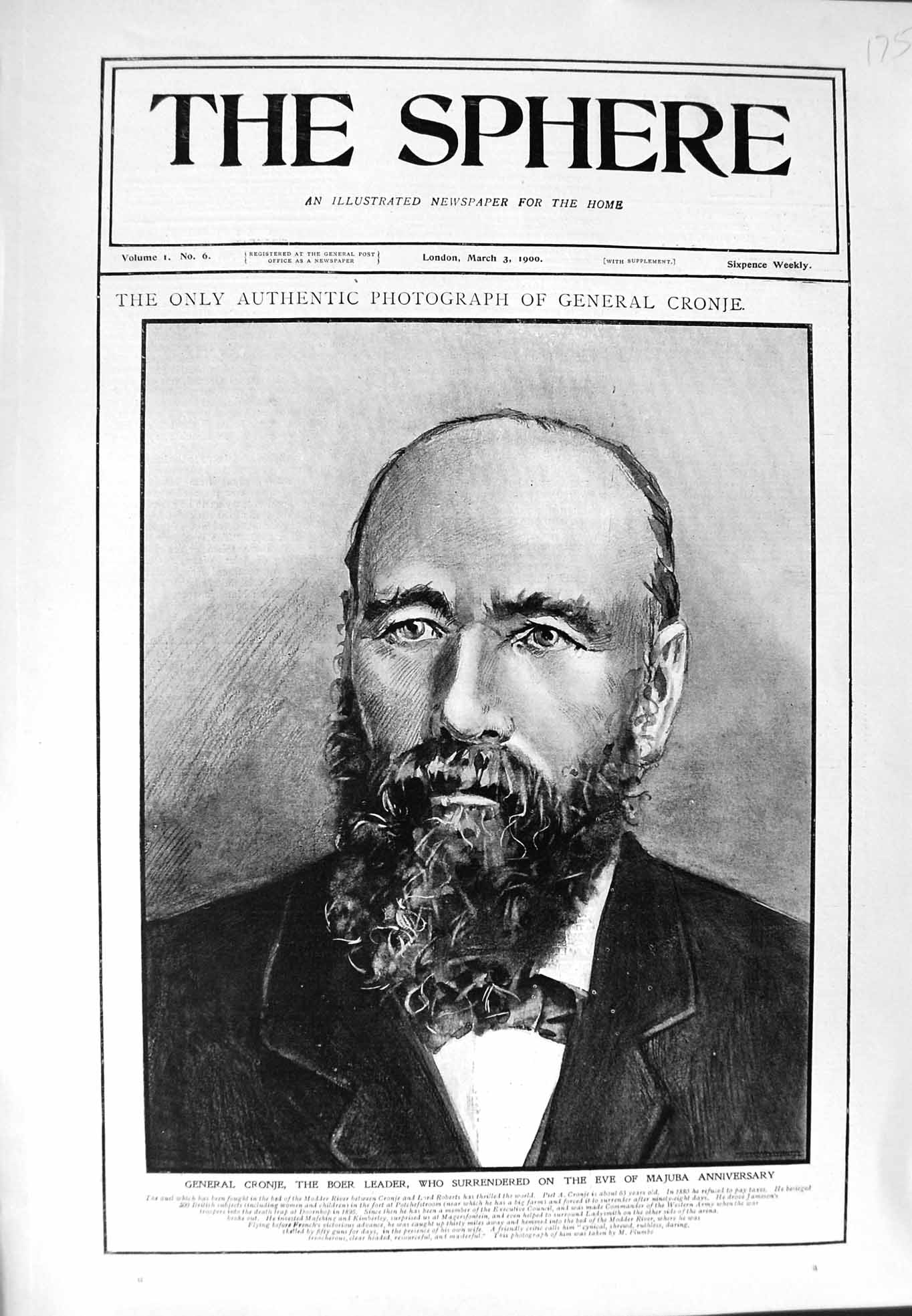 Original Old Antique Print 1900 Portrait General Cronje Boer Leader Majuba War