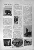 Old Antique Print 1900 Hoskier Lewisham Waterloo Dogs Guildford Hogarth 20th