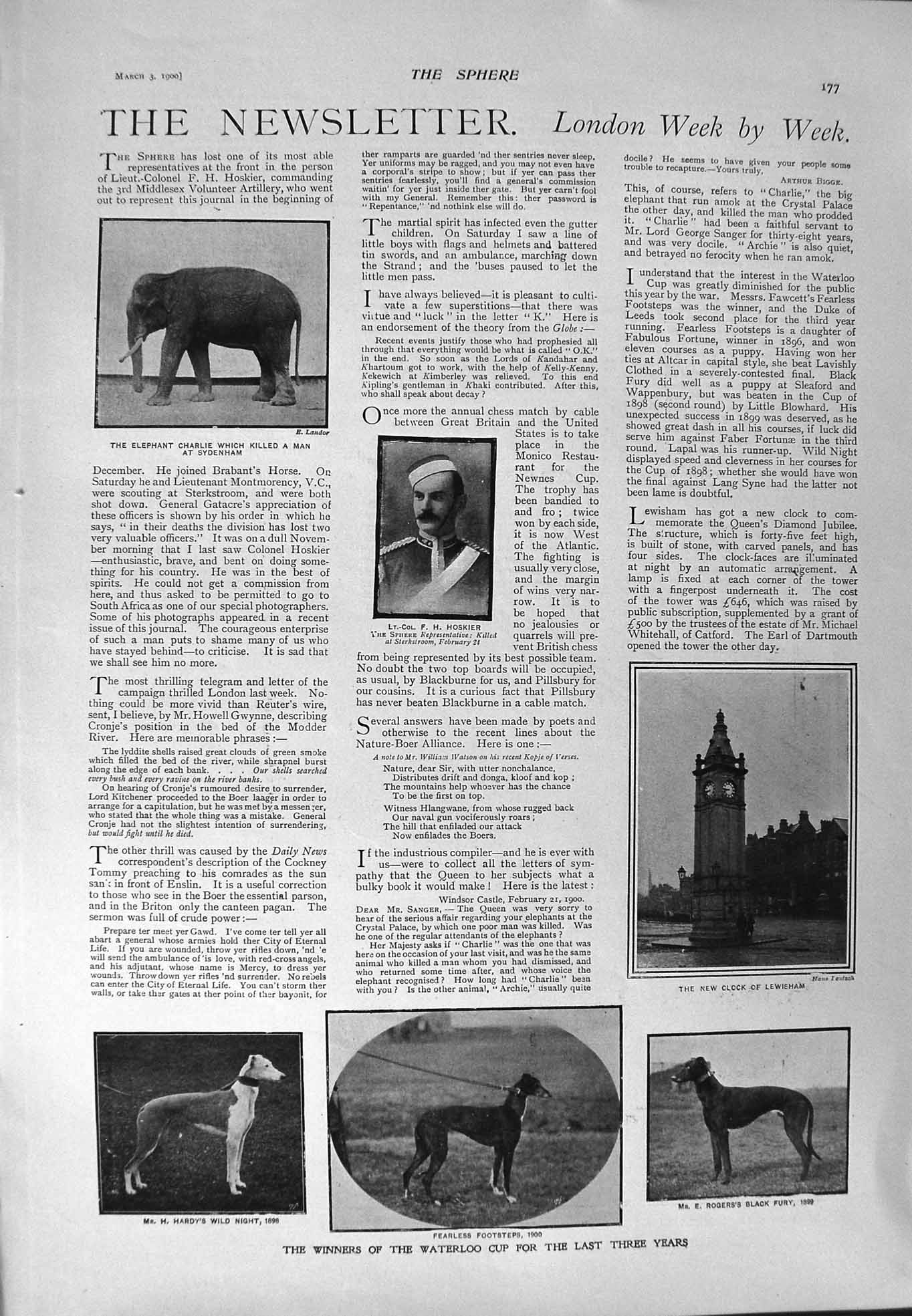 Old Antique Print 1900 Hoskier Lewisham Waterloo Dogs Guildford Hogarth 20th