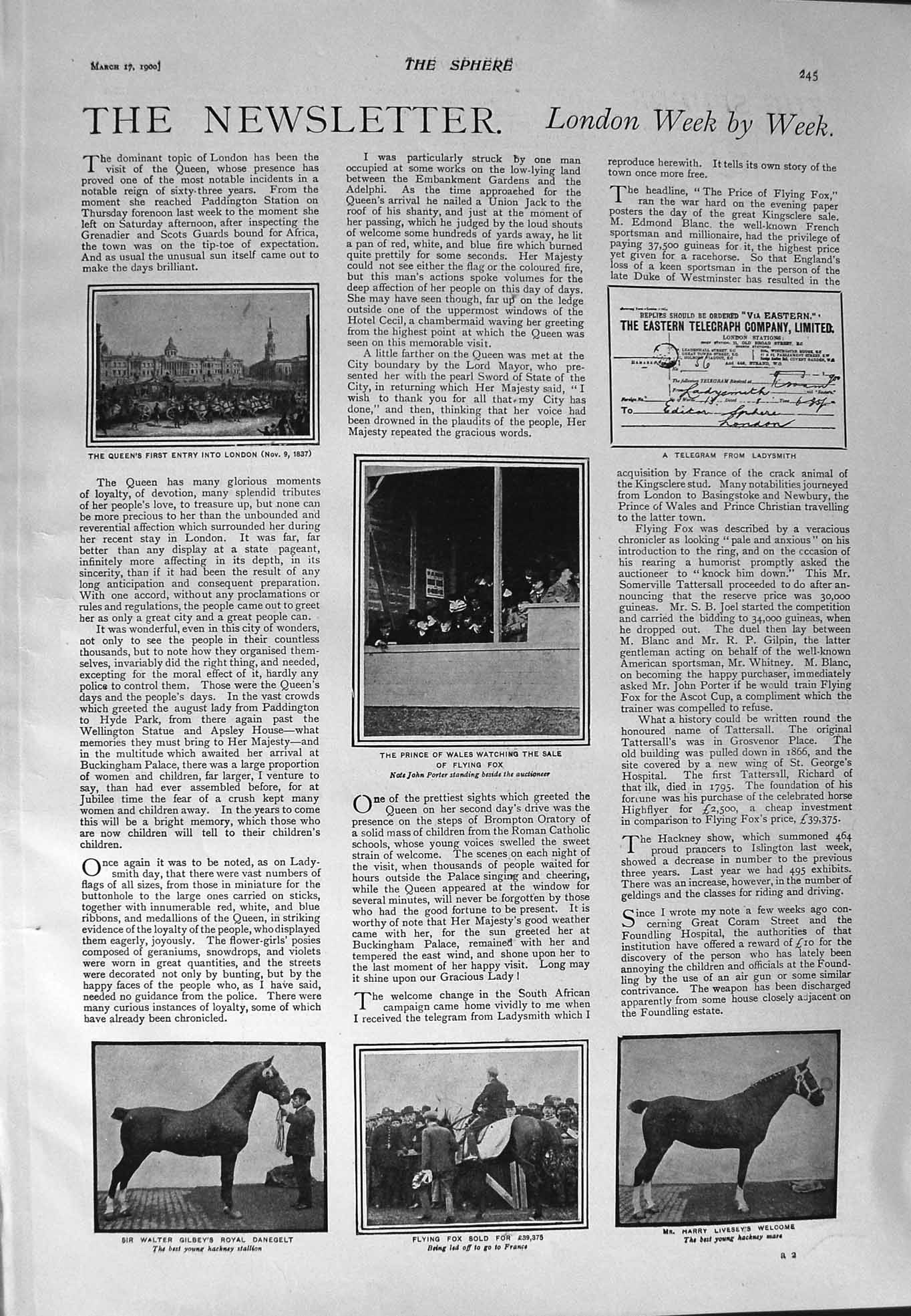 Old Antique Print 1900 Prince Wales Flying Fox Horse Millwall Bartholomew 20th