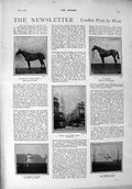 Original Old Antique Print 1900 Ambush Horses Cockshott Henderson Duke Norfolk