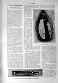 Old Antique Print 1900 Benson Theatre Contra-Bassoon Clinton Queen'S Hall 20th