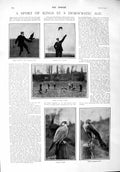 Original Old Antique Print 1900 Hawk Falcon Falconer Sparrow-Hawk Minna Wagner