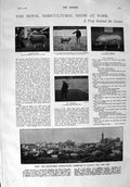 Old Antique Print 1900 Agricultural Show York Glasgow Royal Hunt Horses 20th