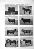 Original Old Antique Print 1900 Cattle York Ram Bull Horse Compton Theatre Duse
