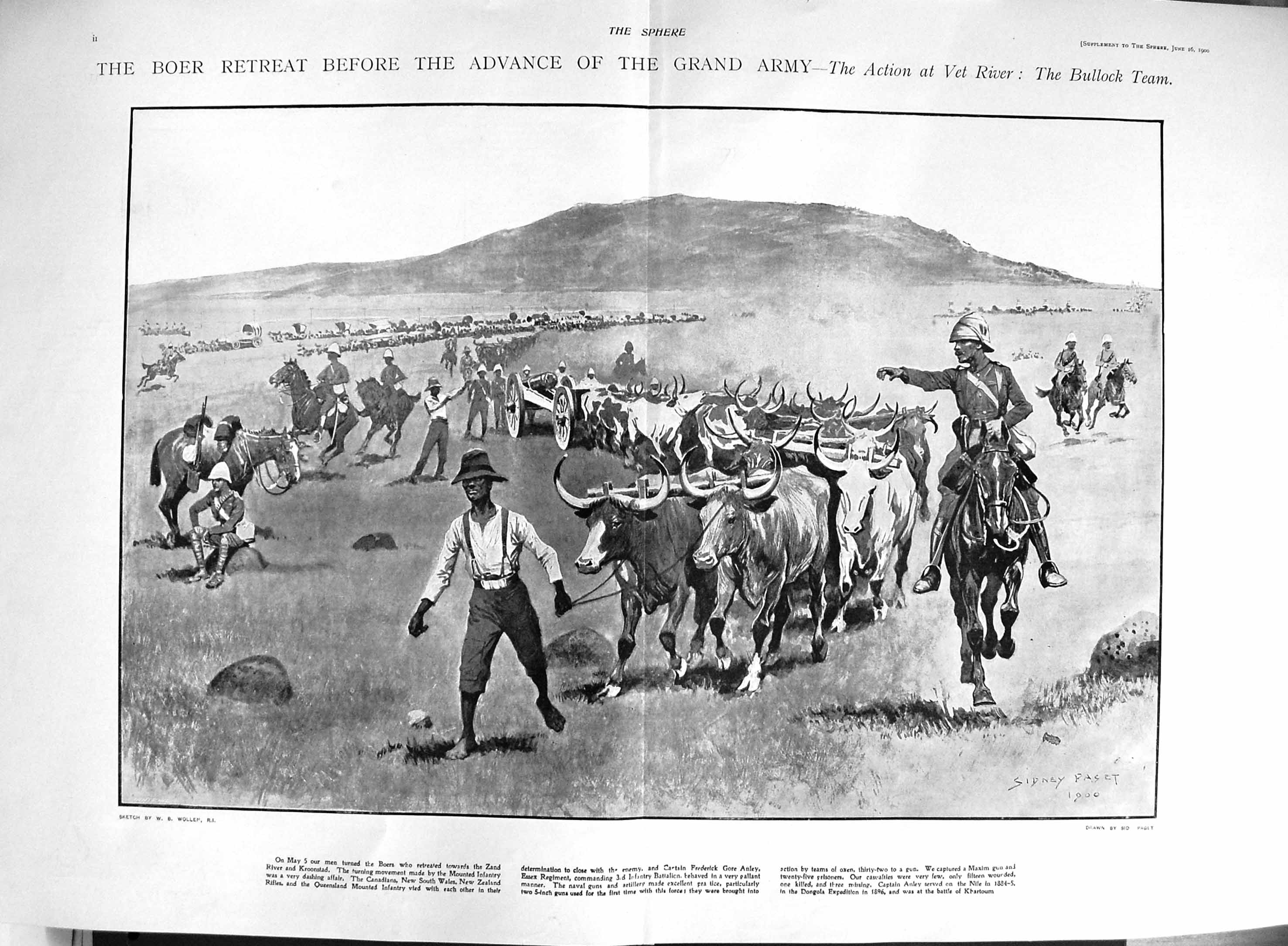 Original Old Antique Print 1900 Boer Retreat Army Vet River Bullocks Conyngham