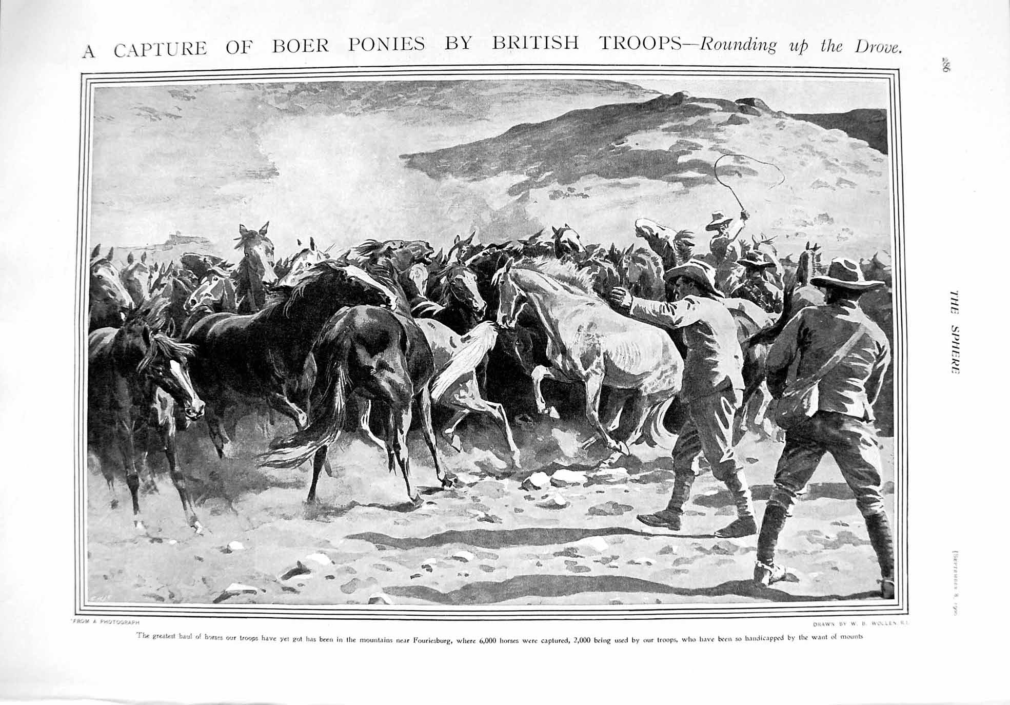 Old Antique Print 1900 Boer Horses Fouriesburg War Pretoria Africa Gaol 20th
