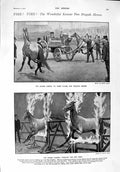Old Antique Print 1900 Kansas Fire Brigade Horses Ladies Fashion Dresses 20th
