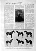 Old Antique Print 1900 Lady Grey Hampton Horses Doncaster Reiff Cricket 20th