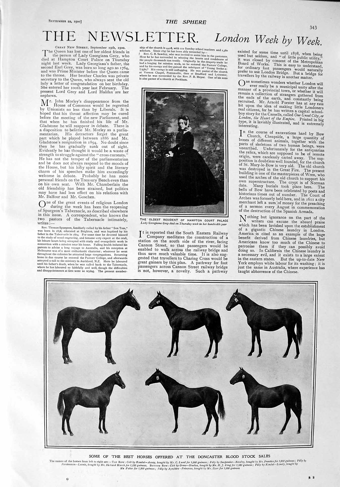 Old Antique Print 1900 Lady Grey Hampton Horses Doncaster Reiff Cricket 20th