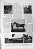 Old Antique Print 1900 Wauchope Horse Railway Plague Glasgow Cecil Sport 20th