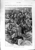 Original Old Antique Print 1900 Women Husking Walnuts Covent Garden Siers Game