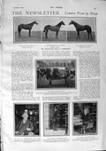 Original Old Antique Print 1900 Horses Newmarket Bull Cicely Parker Wauchope