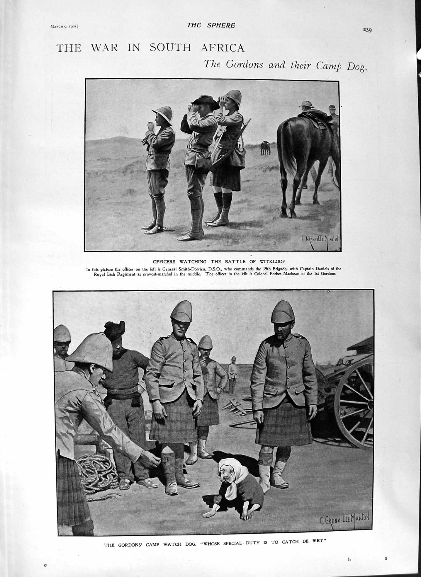 Original Old Antique Print 1901 War Africa Battle Witklogordons Dog Gibraltar