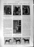 Original Old Antique Print 1901 Colonel Hamilton Horses Duchess Cornwall Malta