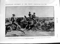 Old Antique Print 1901 Australia Bushmen Veldt Horses Greek Church Easter 20th