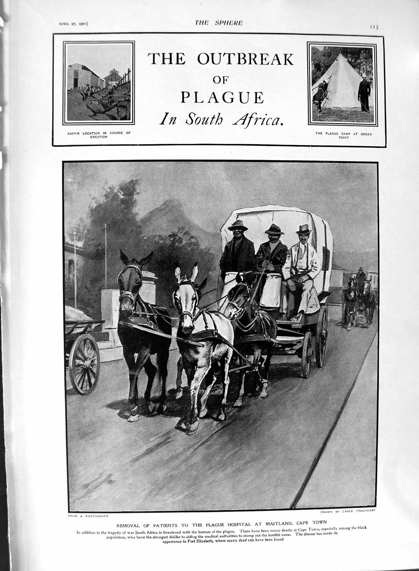 Original Old Antique Print 1901 Plague South Africa Hospital Camp Green Point